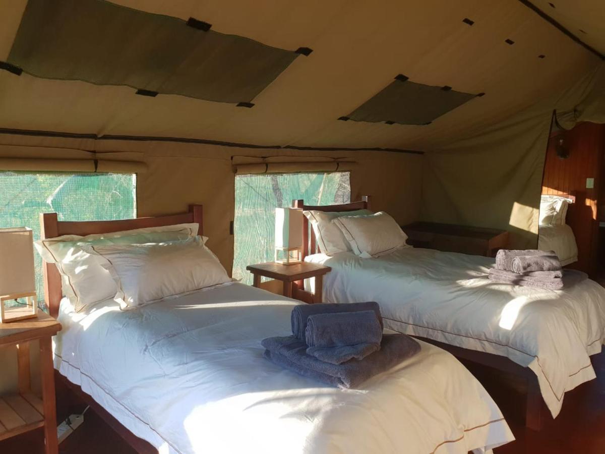 فندق Kelora Bush Camp هويدزبروت المظهر الخارجي الصورة